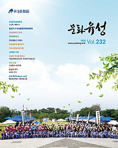 문화유성 232호